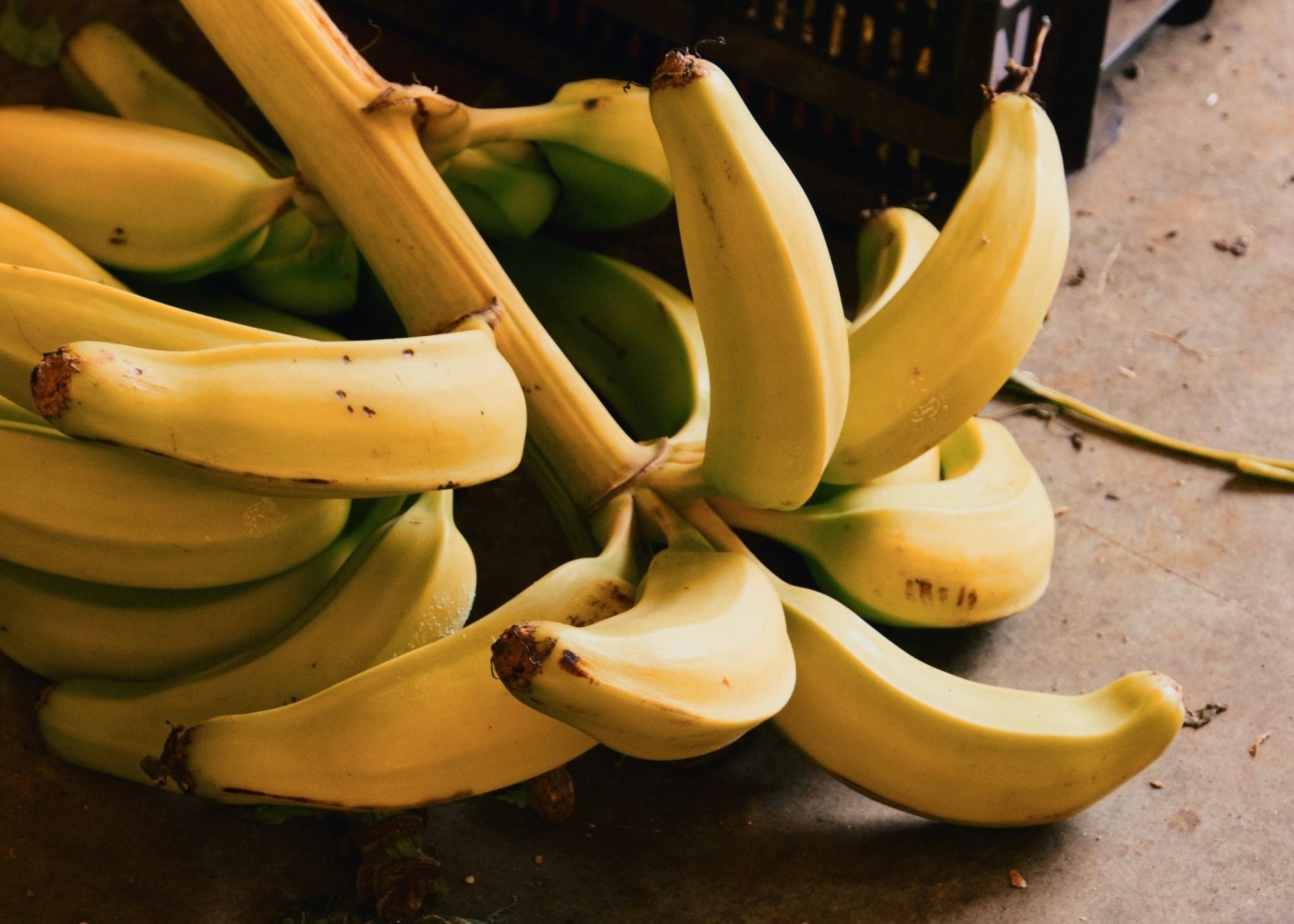 Bananas for Skin: Moisturizing and Nourishing Benefits - Amala