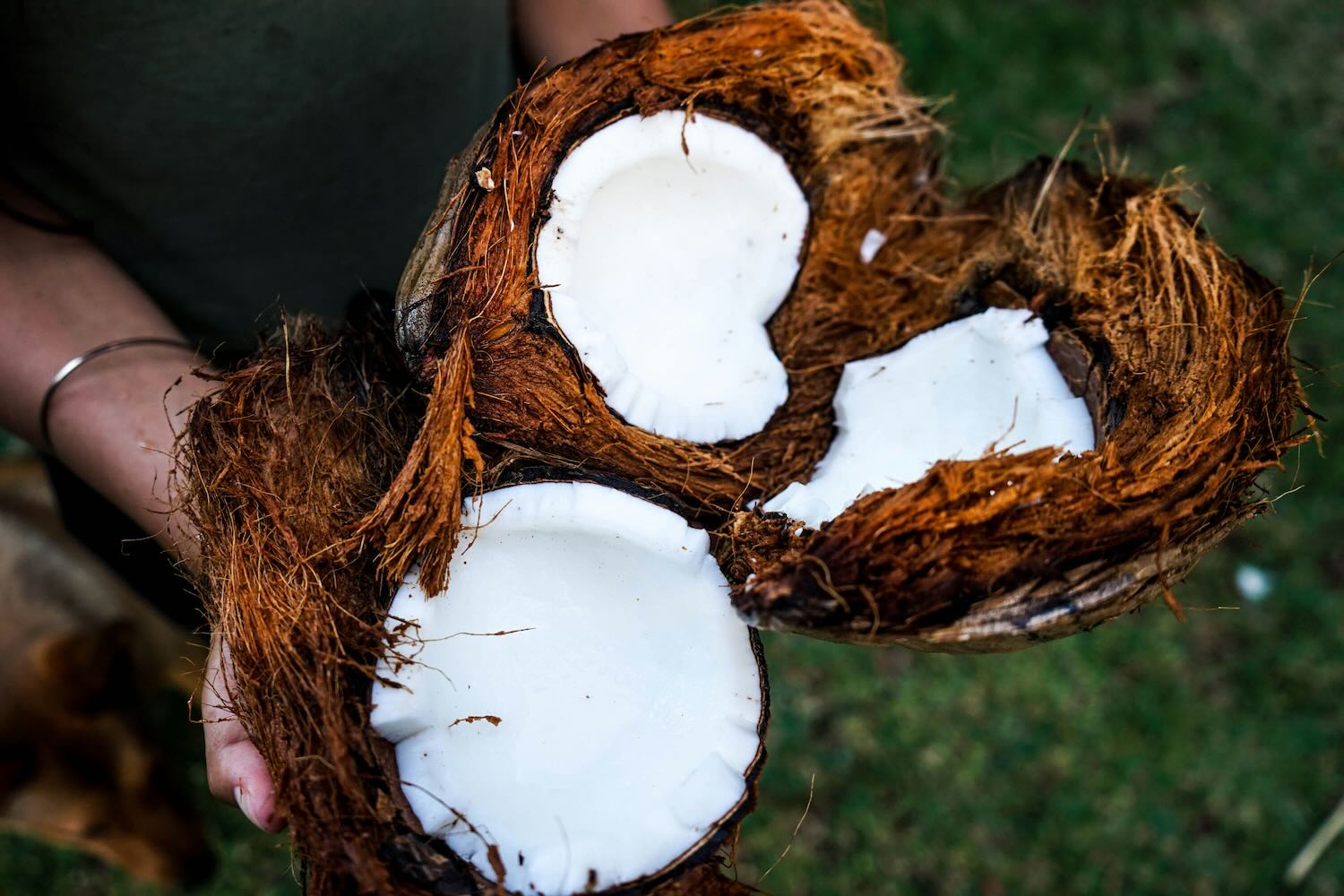 Can Coconut Oil Help Reduce Wrinkles? - Amala