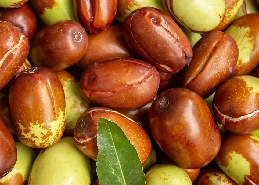 How to Use Jojoba Oil for Face: Tips and Benefits - Amala
