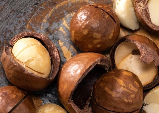 Macadamia Nut Oil for Skin: Luxurious Moisturizing Properties - Amala