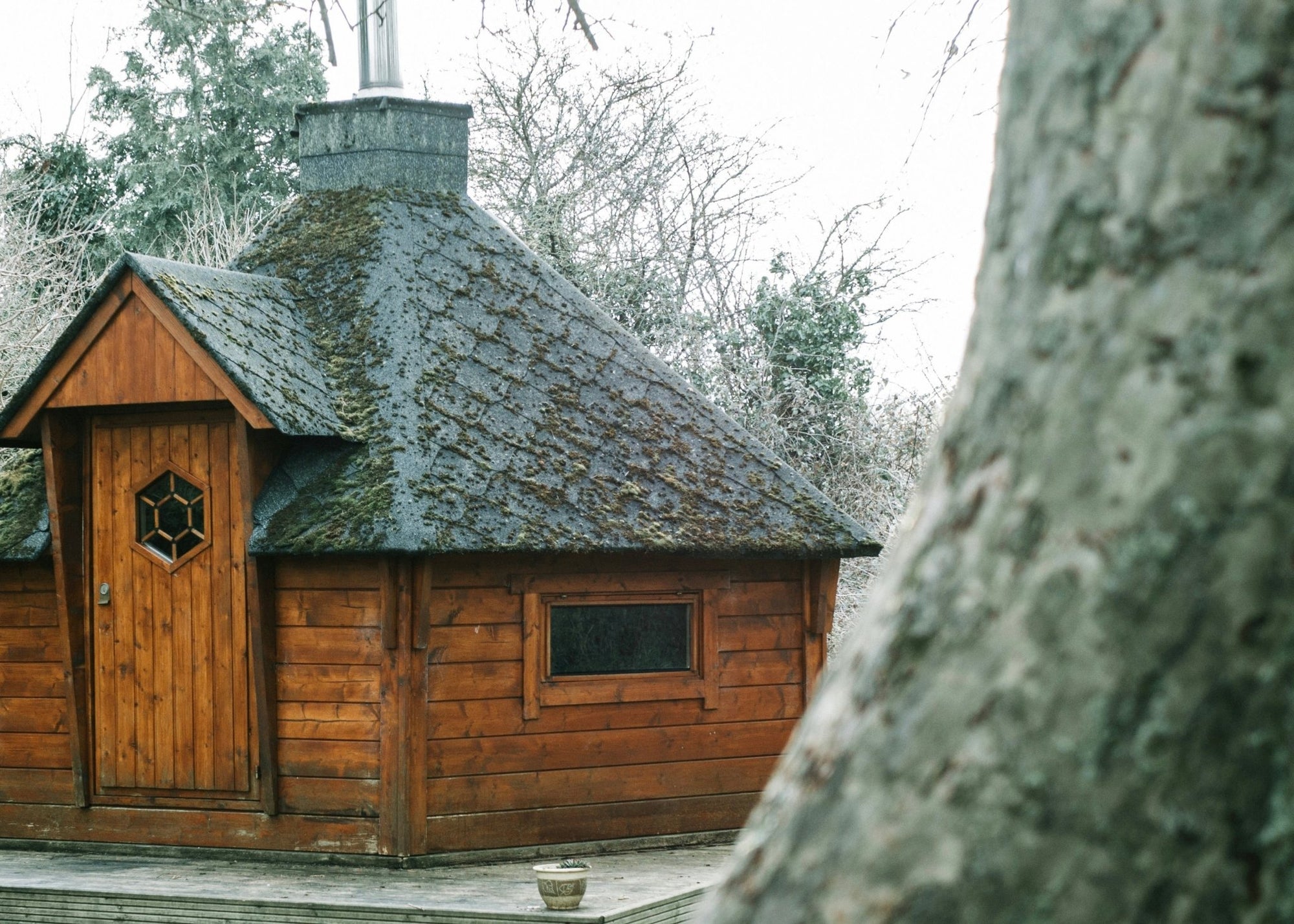 Saunas for Skin Health: Purification through Heat - Amala