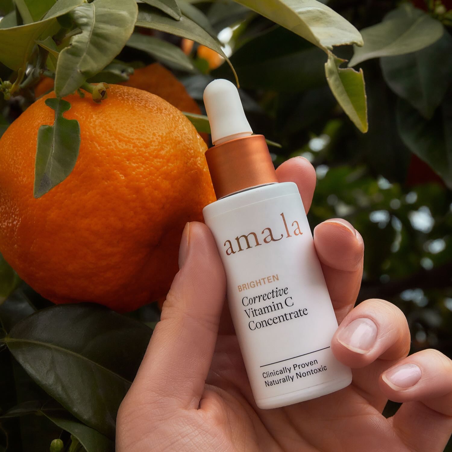 Ama.la Corrective Vitamin C top Concentrate