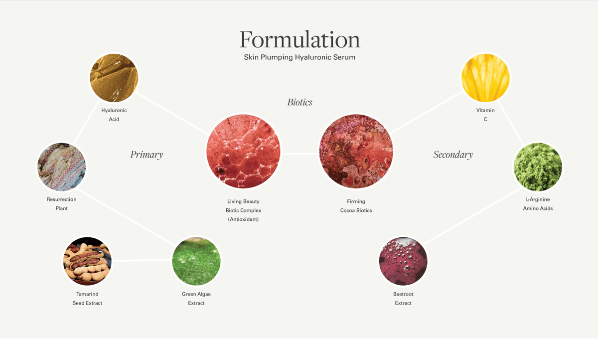 Skin Plumping Hyaluronic Serum - Amala